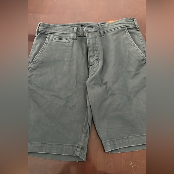 American Eagle Extreme Flex Flat Front Shorts (32) NWT - Picture 2 of 2